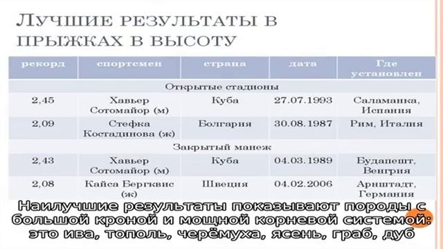 Как посадка деревьев поможет вам не откачивать выгребную яму смотреть онлайн