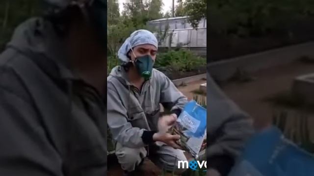 Для чего нужна горчичная и табачная пыль смотреть онлайн