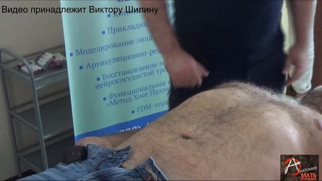 Краснодар. Висцеральный модуль 4. смотреть онлайн