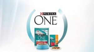 Purina ONE®. Кормите правильно