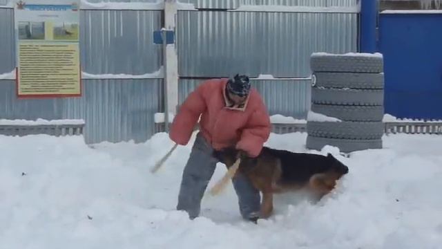 Ой-ля куда хапанул Хюнтер смотреть онлайн
