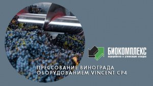 Прессование винограда оборудованием Vincent CP 4