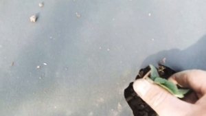 Агроволокно 3м 20см