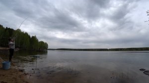 Ушёл Зараза Биг-Фиш, рыбалка на фидер на Белоярском водохранилище...