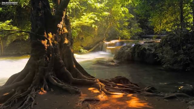 Расслабляющая музыка дзен со звуками воды • Расслабьтесь, засыпайте, для спа, йоги, медитации смотреть онлайн