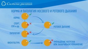 Садхгуру и пещерные представления о дыхании