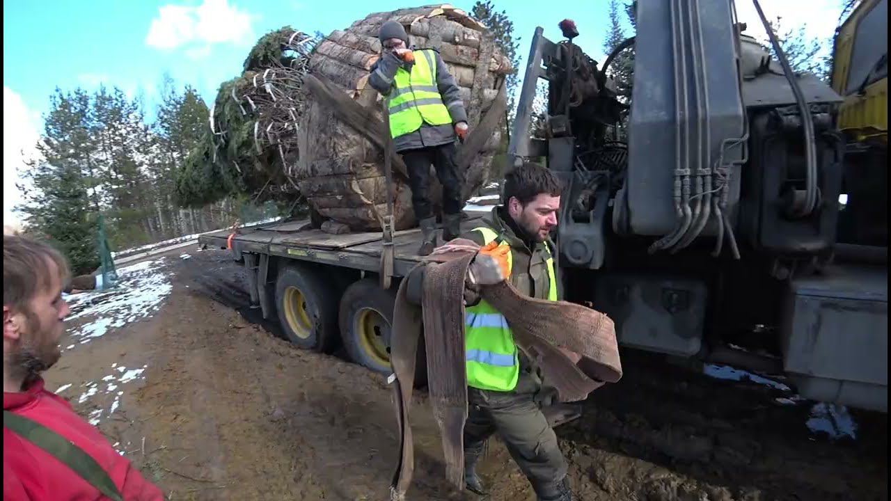 ПРИШЛА ВЕСНА!!!OFF ROAD с Ёлками смотреть онлайн