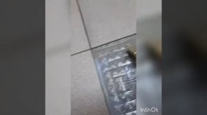 #как склеить расколоть плитку#