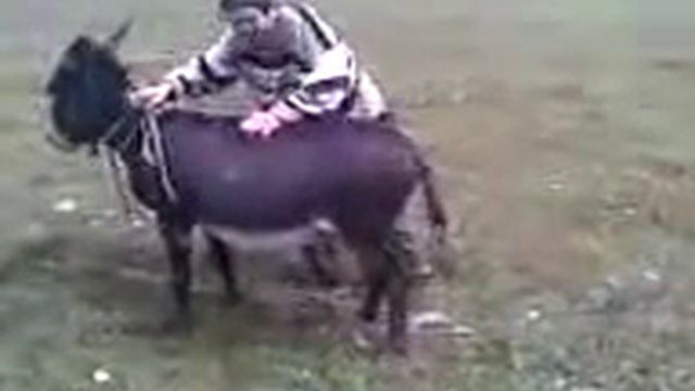 Новый вид авто смотреть онлайн