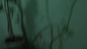 Электрические лифты V=1 м-с, грузоподъемность 400, 630 кг (2453)