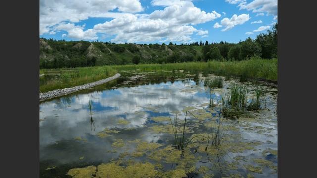 Lumix G100 – How I use it for Photos and Videos смотреть онлайн