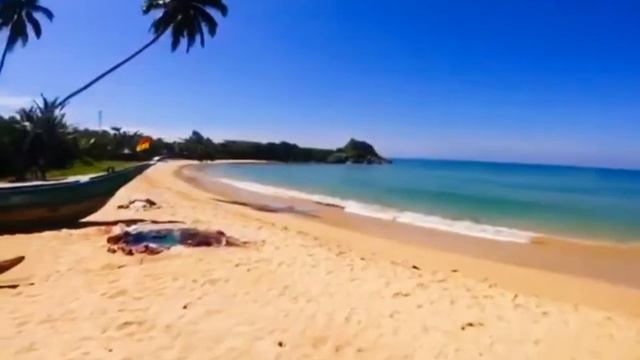 Beautiful Hotel SriLanka | Shinagawa Beach By Asia Leisure | Downsouth смотреть онлайн