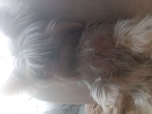 показываю свои вещи чееееекккксссссс