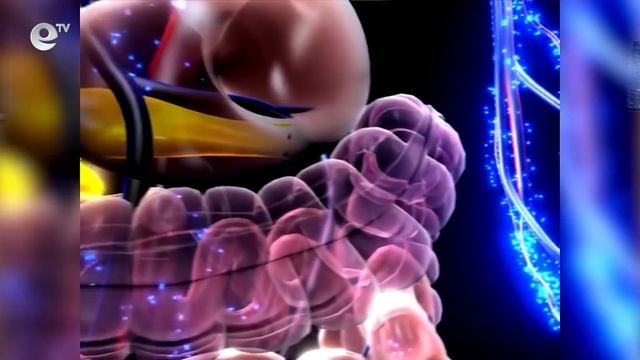 Здраве - Диабетът-тихият убиец на съвременния човек смотреть онлайн