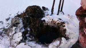 Оснастка ловли налима.Морда