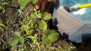 Как сделать очень дешёвую ёмкость для воды. Бак для воды.