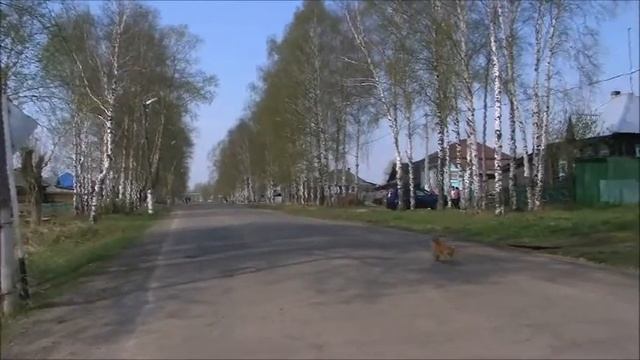 Тайга Забур 2014 смотреть онлайн