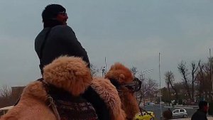 Ruslan Bakinskiy - Кайфуй Бухара 2021 2022
