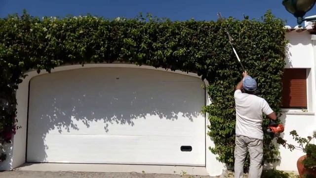 Фигурная стрижка кустов смотреть онлайн