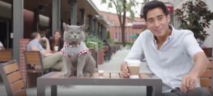 кот выбрал себе рыбку.пранк.