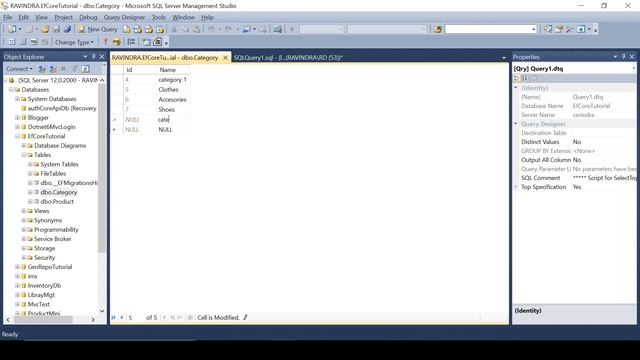 Entity framework core tutorial