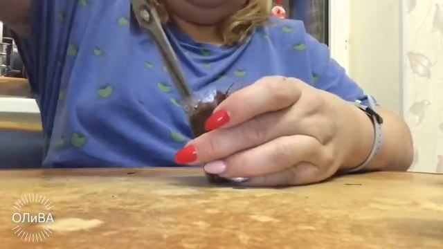 Проращивание семечек кумквата