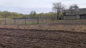 Мотоблоком МТЗ Посадка картофеля-часть 2