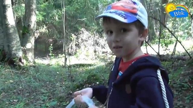 Весёлые грибочки