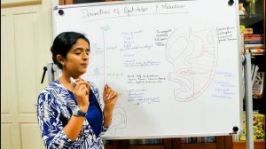 THE DERIVATIVES OF THE GUT TUBES AND THE MESENTERIES-DEVELOPMENT OF THE GIT-PART 3-DR ROSE JOSE MD