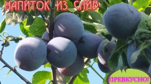 НАПИТОК ИЗ СЛИВ.ВКУСНЕЕ НЕ БЫВАЕТ!