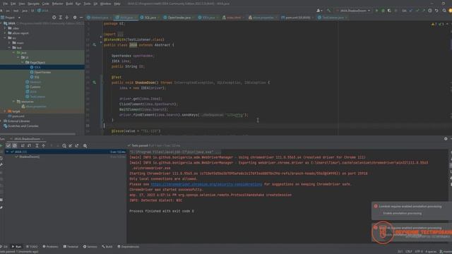 Shadow root selenium в Intellij IDEA JAVA смотреть онлайн
