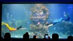 Шоу русалок . Остров Винперл. Нячанг.