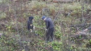 Агроуход в Кировской области 3 октября 2023 года