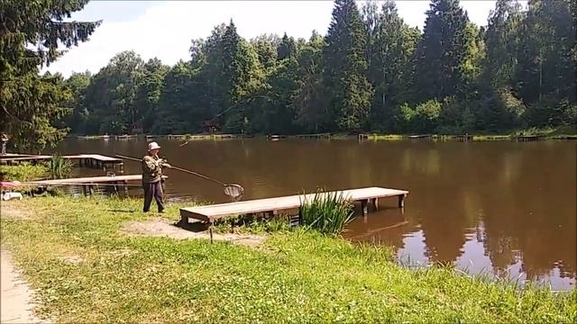 Самый жаркий обзор с Верхнего пруда. Клёвое место лосиный остров. смотреть онлайн
