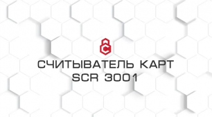 Считыватель карт  Рутокен SCR 3001, видео обзор картридера, произведенного в России