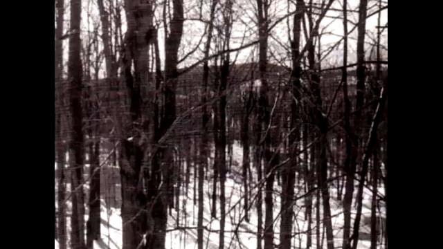 Satanic Warmaster- March of the Legion Werewolf