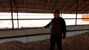 Qazaq Aqbas — где купить племенной скот, как содержать и развивать мясной бренд Казахстана