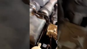 Mitsubishi Pajero. В мороз машина перестала заводится