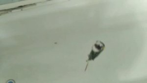 воблеры из пробки своими руками