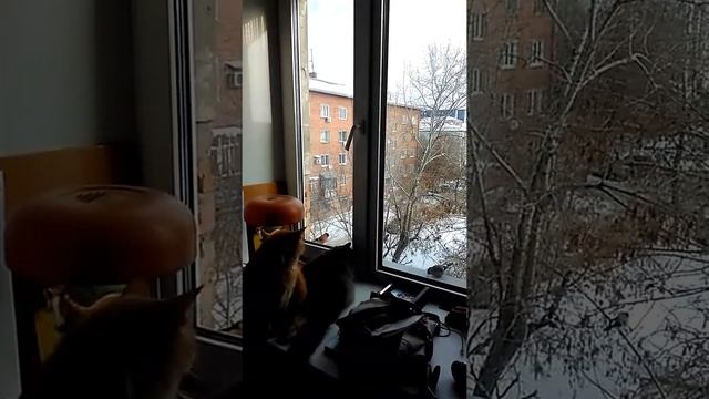 Видит око да зуб не ймет смотреть онлайн