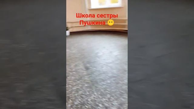 тут давно училась сестра ПУШКИНА!!..