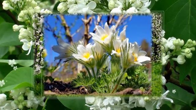 Весенняя романтика-Бесплатный проект смотреть онлайн