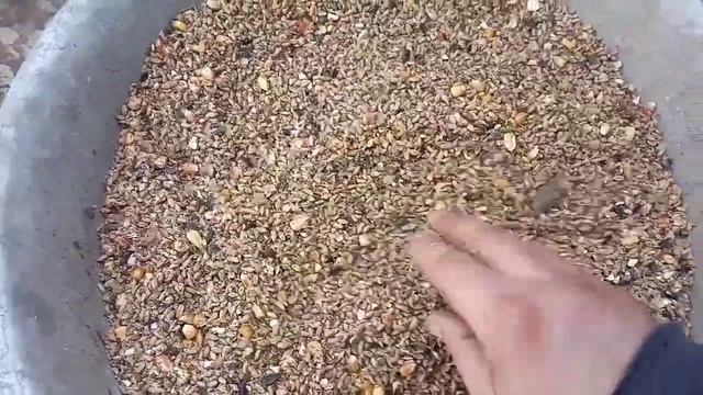 Перестали курочки нестись яка причина? смотреть онлайн