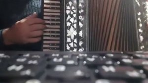 Соло на гармони.