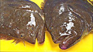 Самая потребляемая рыба! Камбала - потрясающие навыки приготовления рыбы.