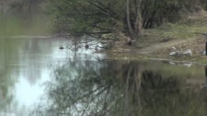 г Екатеринбург, р Чусовая, р Исеть, Прогулки и рыбалка в окрестностях