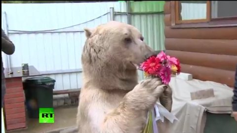 Как приятно