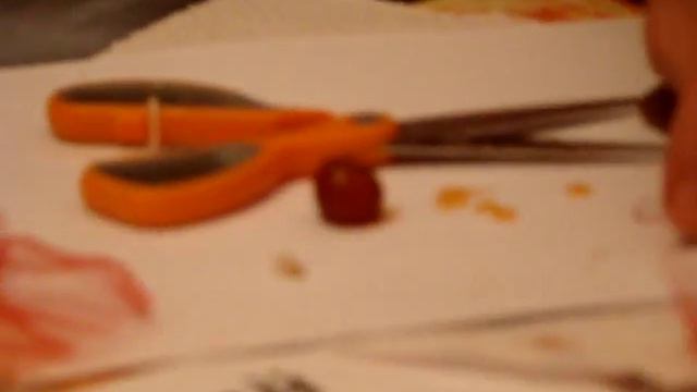 MOV01704 смотреть онлайн