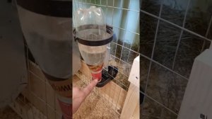 Поилка для кроликов и кур под бутылку