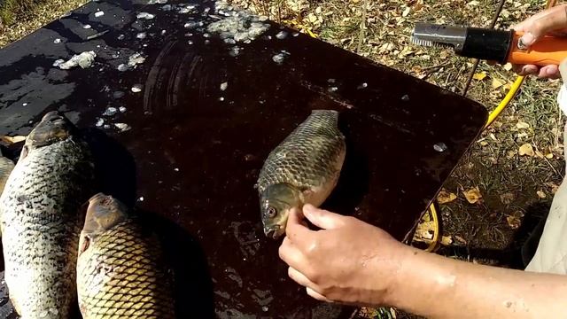 Аккумуляторная электрическая рыбочистка LK-859B смотреть онлайн